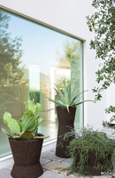 BUSH-ON-001-RODA-507888-rel8b245921.jpg thumb image