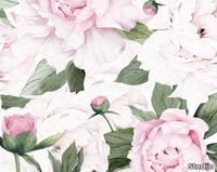 COLOUR-PEONIES-Studijo-556026-relc4ecab3d.jpg thumb image