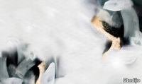 GREEN-PURPLE-ABSTRACTION-Studijo-555901-rele94cb28a.jpg thumb image