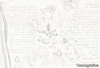 SEMINAMI-Tecnografica-529140-rel37f66b01.jpg thumb image