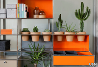 WORLD-OF-PLANTS-FOR-USM-HALLER-Office-shelving-USM-503899-relc9616957.jpg thumb image