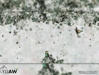 IVY-WALLYART-542168-rel6adf9486.jpg thumb image