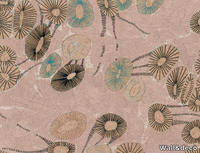 NO-GRAVITY-Wall-decò-368462-rel414b4c47.jpg thumb image