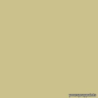 ral-1000-aerosol-spray-paint-green-beige-500x500.jpg thumb image