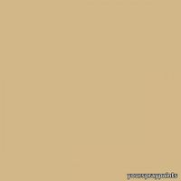 ral-1001-aerosol-spray-paint-beige-1-500x500.jpg thumb image