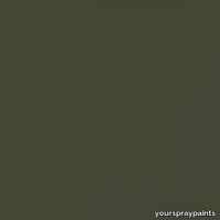 ral-6003-olive-green-500x500.jpg thumb image
