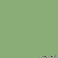 ral-6021-aerosol-spray-paint-pale-green-1k2k-pack-aerosol-cans-400ml-11.99-500x500.jpg thumb image