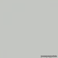 ral-7035-500x500.png thumb image