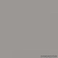ral-7036-aerosol-spray-paint-platinum-grey-500x500.jpg thumb image
