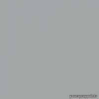 ral-9006-aerosol-spray-paint-500x500.jpg thumb image