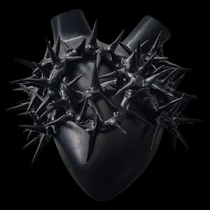 H-45 BLACK HEART