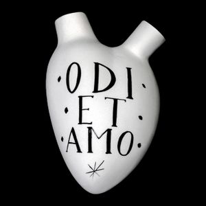 H-44 ODI ET AMO