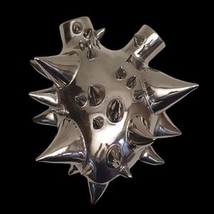 H-60 CHORISIA PLATINUM