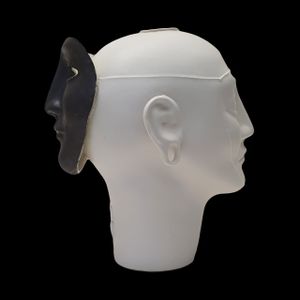 TS 22 BLACK MASK