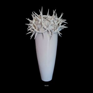 SAL24 – SPINAE