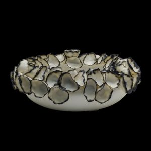 Aboutilon Ciotola Campanelli ccr20
