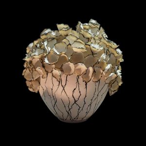 SCP24 – MINI ABOUTILON