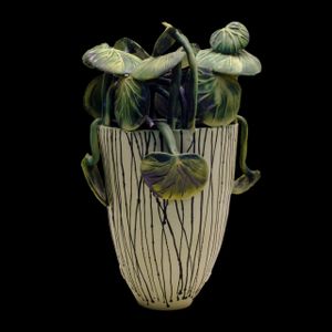 BEGONIAS