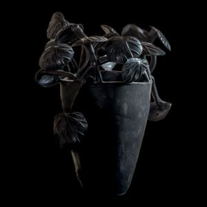 BEGONIAS