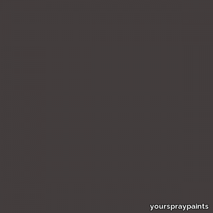 RAL 8019 Grey Brown Aerosol Spray Paint 1K/2K 400ml