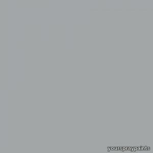 RAL 9006 White Aluminium Aerosol Spray Paint 1K/2K 400ml