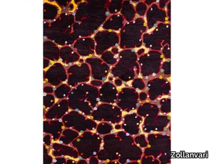 FLOWERS IN A LAVA FIELD 2 - Rectangular wool rug _ Zollanvari