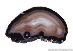 Black Wild Agate