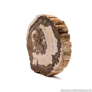 Brown Petrified Wood Retro