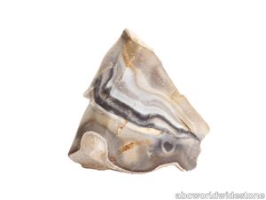 Jasper Shellflint