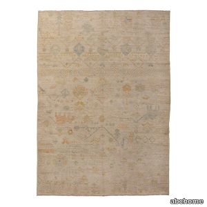 Beige Zameen Transitional Wool Rug