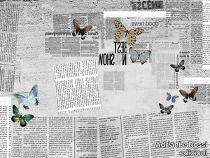 NEWSPAPER - Wallpaper _ Adriani e Rossi edizioni