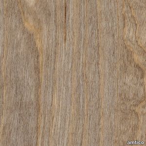 Bleached Elm