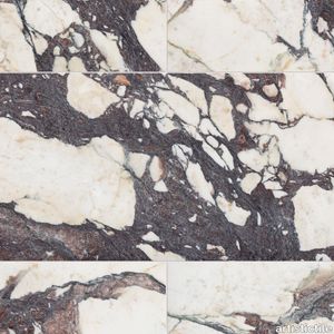 Calacatta Viola Marble Tile Honed 12" x 24" x 3/8" Stone Aris Edge