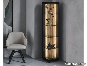 ATELIER - Display cabinet with integrated lighting _ Cattelan Italia