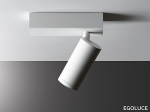 NEWTON - LED adjustable spotlight _ EGOLUCE