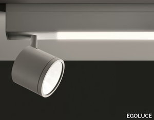 NEWTON FLAT RAIL - LED track-Light _ EGOLUCE