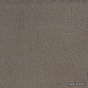 Texture taupe