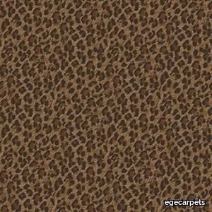 leopard brown