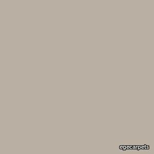 uni 5500 BC4 kit