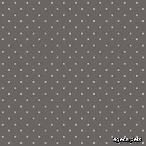 points grey