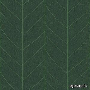 leaf skeleton green