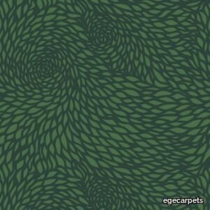 chrysanthemum green