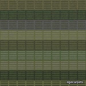 solar shading green
