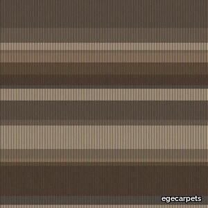 shimmer stripe brown