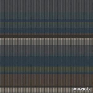 shimmer stripe multi colour