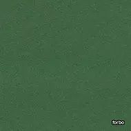 flotex borders evergreen