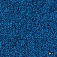 coral marine fr Sydney blue