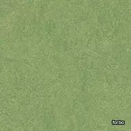 marmoleum fresco leaf
