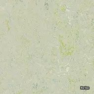 marmoleum splash salsa verde