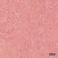 marmoleum real honey suckle